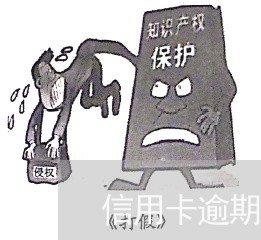 信用卡逾期 进入调查组
